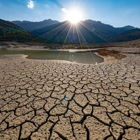 La lluita contra la desertificació a Espanya
