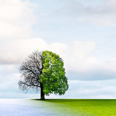 Amenazas al cumplimiento de los objetivos de los PNIEC en materia de energía y clima